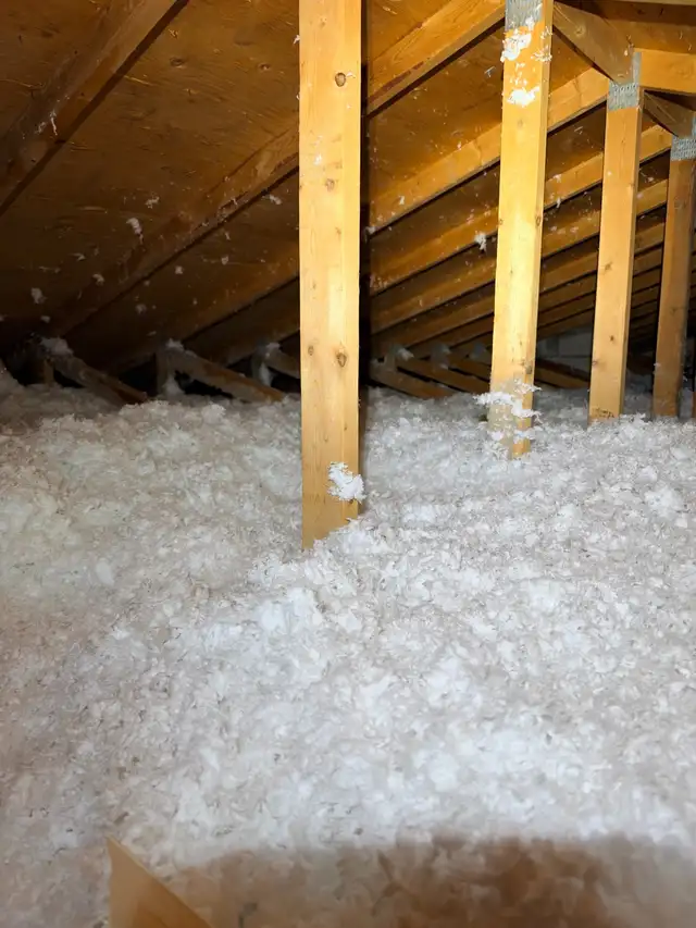 Attic Insulation