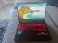 Portable Gamer Acer Nitro 5