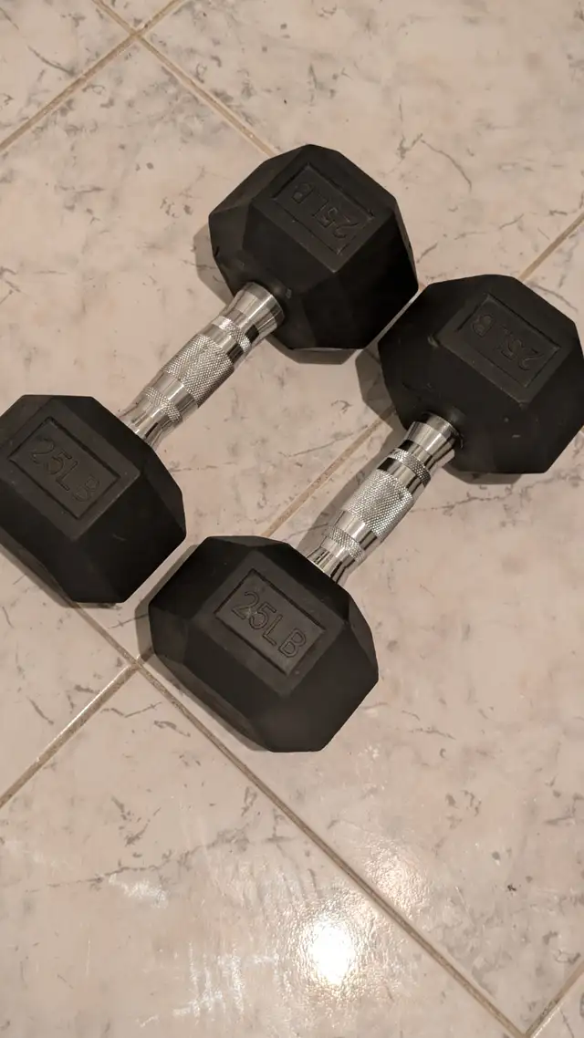 25 lb Rubber Hex Dumbbells492701780531619841