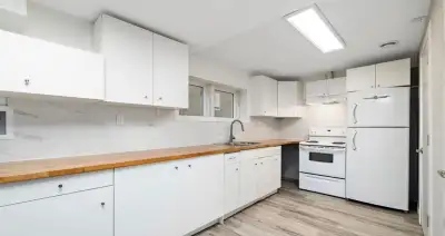 Large Reno’d 2 Bed 1 Bath King Edward Park Basement Suite