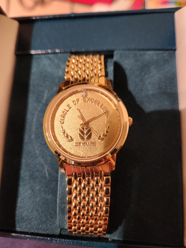 New Holland Watch in Jewellery & Watches in Saskatoon