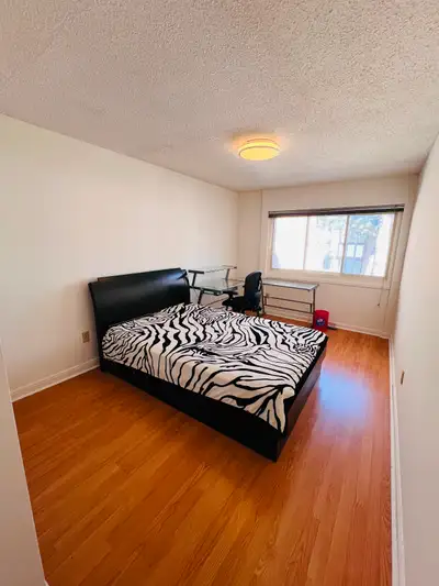 Near to centennial College, near to 401 highway, near to STC, 2mins walking to the bus station, supe...