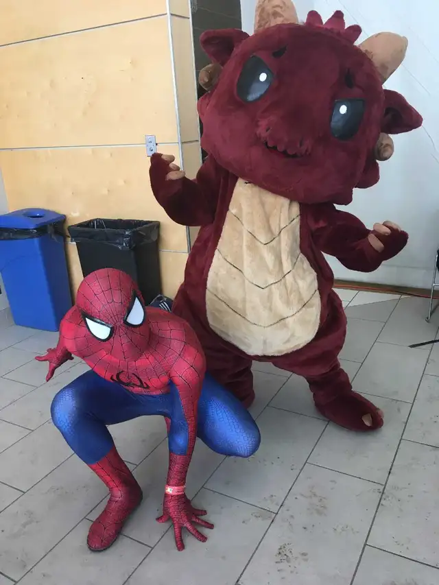 Spiderman Birthday Parties!566077821845524483