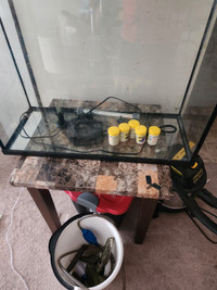 LED 37 gallon fish tank.