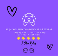 St. Jacobs Tiny Dog Daycare & Retreat 