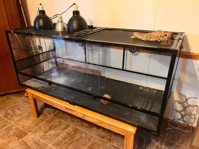 Large Terrarium with accessories, View more