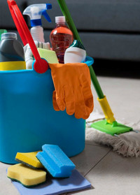 CLEANING SERVICES 