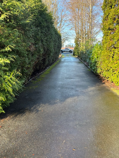 Pressure Washer/s Wanted For Job, View more