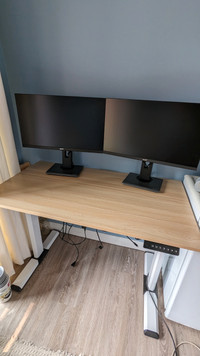 Acer 24 inch monitors/standing desk
