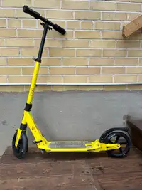 Adult Scooter 