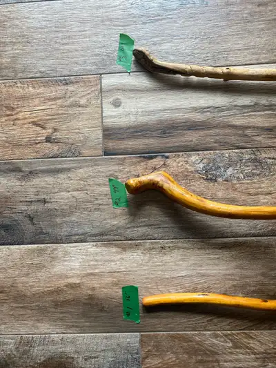 walking sticks, View more