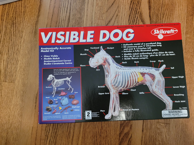Skillcraft Visible Dog Model (Level 2), View more
