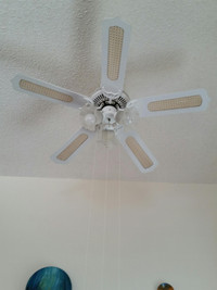 Ceiling Fan with lights