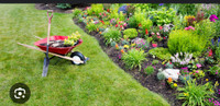 Yard clean up services  **affordable prices** 