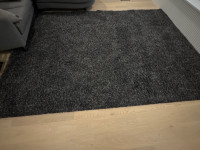 Shag area rug (8x10)