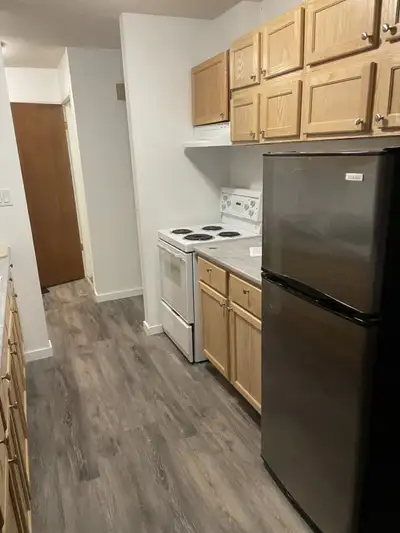 Brand New Renovated Large 2 Bedroom Apartment Suite For Rent. Includes fridge, stove, parking, brand...