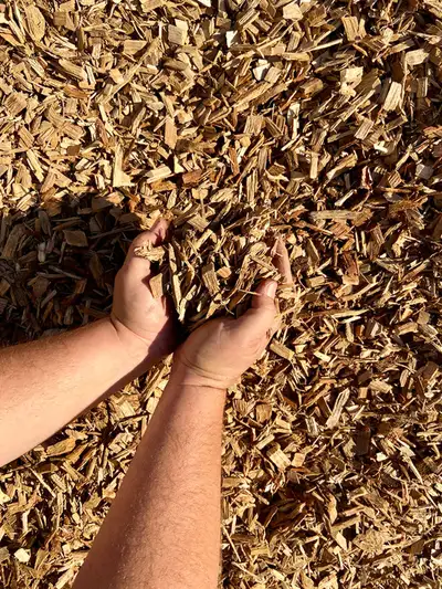 100% ALL NATURAL FOREST BLEND MULCH - FULL TRUCK LOADS 100% ORGANIC - NOT TREATED WITH ANY CHEMICALS...