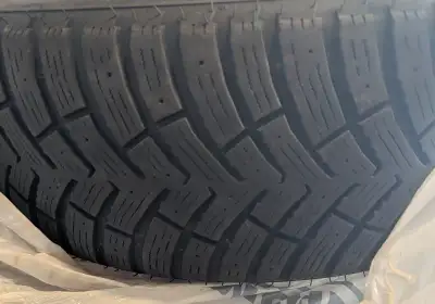 Very good condition, one season of use.