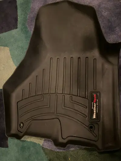 I have the 2 front Weather Tech floor mats for Ram trucks, see the picture of the applicable trucks...