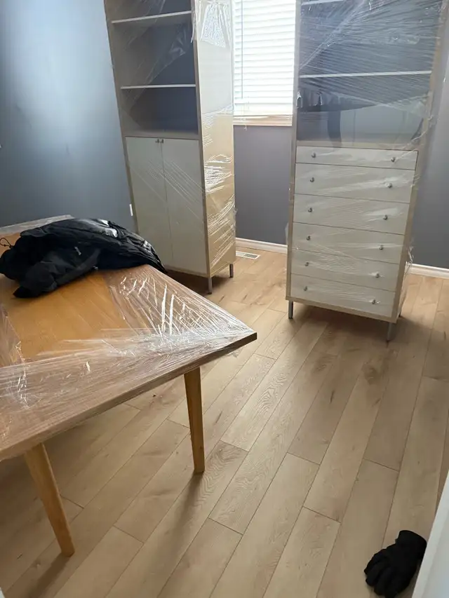 professional movers571508539775395843