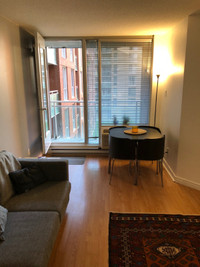 Downtown Summer Sublet - $1450/m Fully furnished 3.5 condo