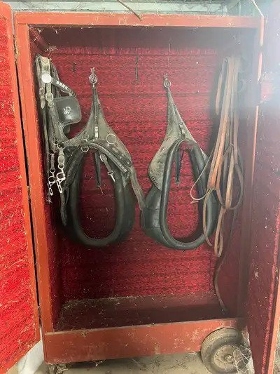 Draft Horse Harness, View more
