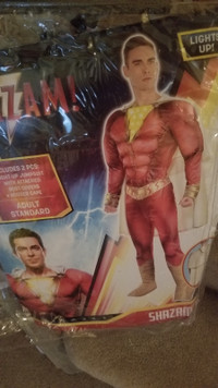 Adult Shazam Costume! Amazing!