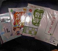 Chinese Children's learning and puzzle book Bundle.
