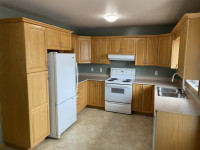 Oak kitchen cabinets for sale