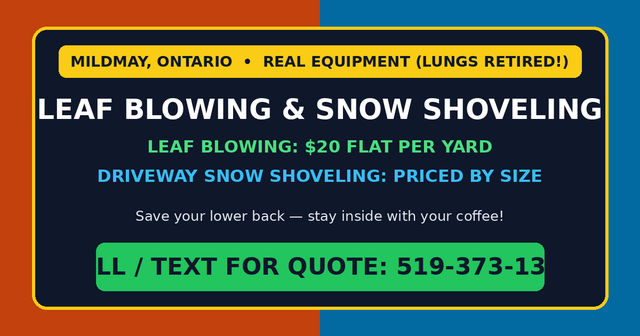 $20 Mildmay Yard Leaf Blowing & Driveway Snow Shoveling