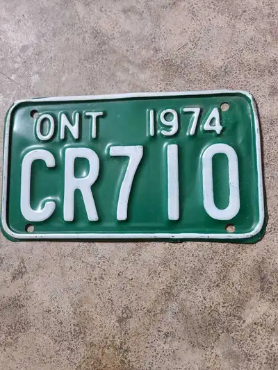 Vintage collectable snowmobile plate.