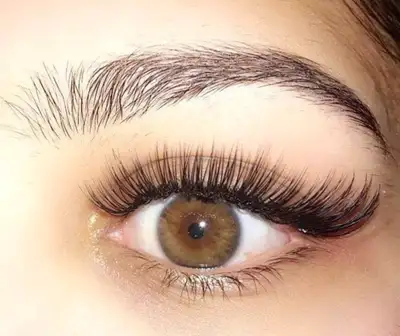 Hi Ladies, I have been a certified eyelash technician for the past 7 years. I offer E yelash extensi...