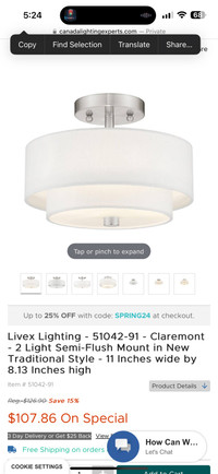Livex Claremont Light 