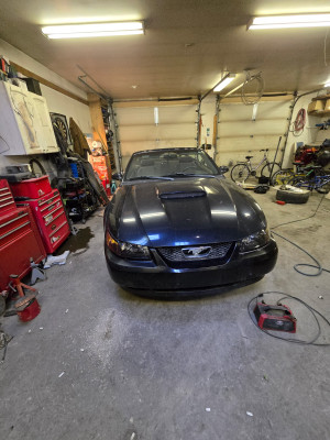 2004 Ford Mustang