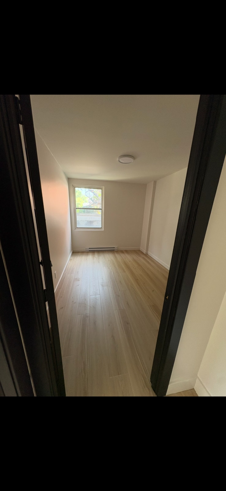 5 1/2 Apartment for Rent — photo 2