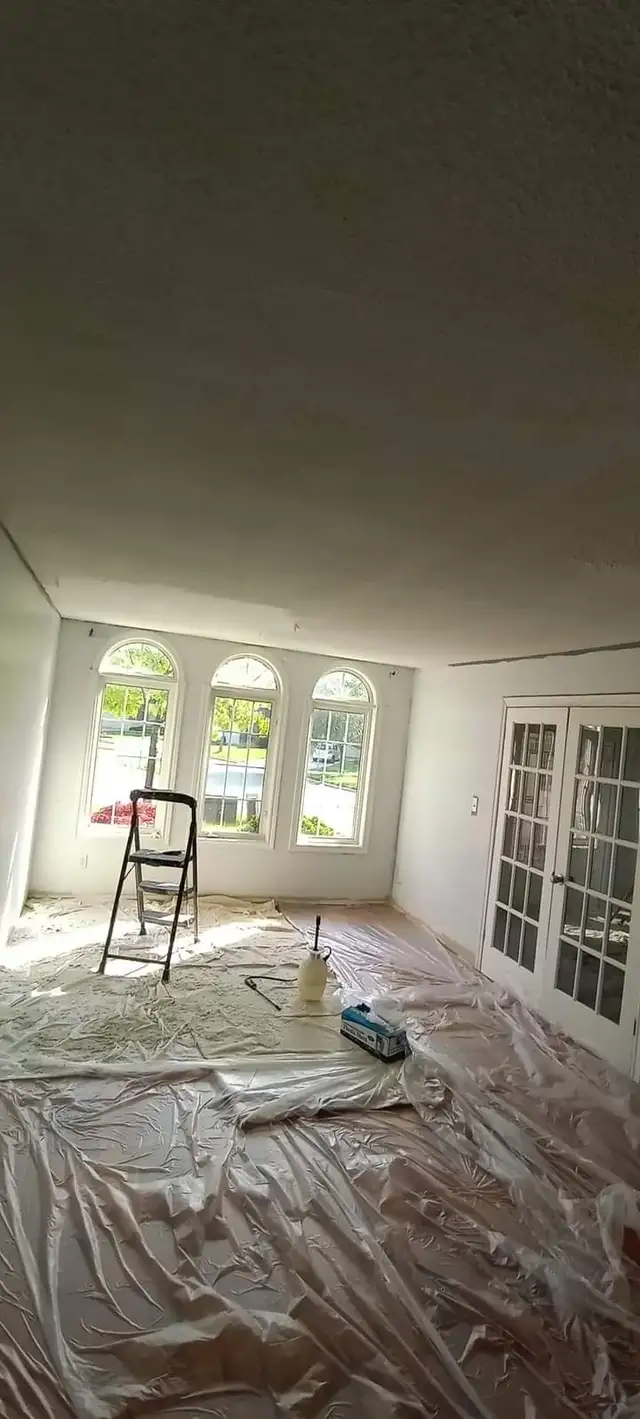 painter/handyman available 64877472334465124