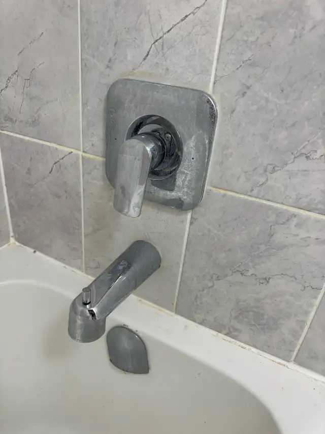     Professional House Cleaning 