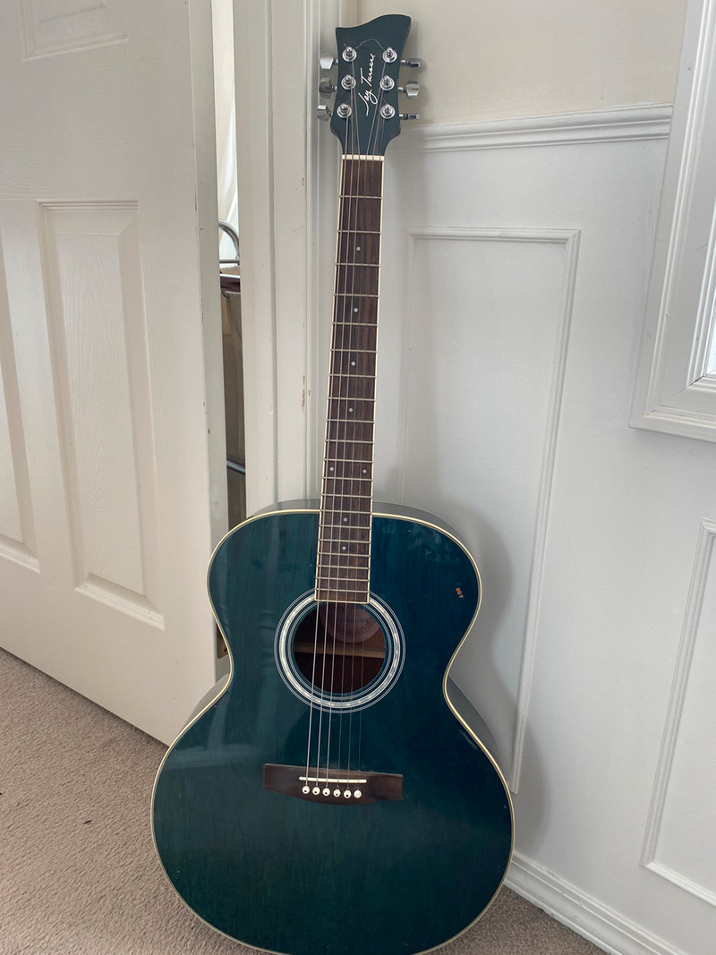 Jay Turser Guitar, used for sale  