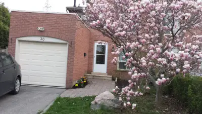 One B/R Basement Apt. for Rent in Scarborough