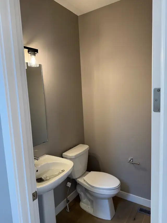 Professional Painter505382055162030085
