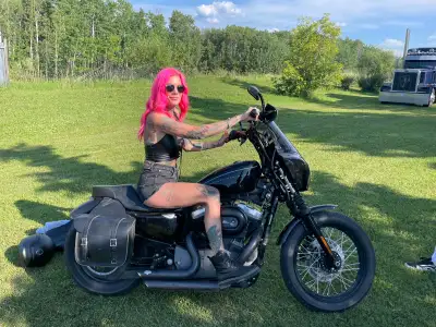 2008 Harley-Davidson XL1200N Sportster 1200 Nightster in great shape. Low kilometres for the year at...