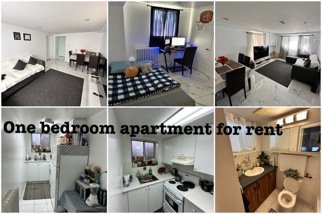 One bedroom apartment (semi basement) in Long Term Rentals in City of Toronto - Image 2