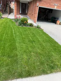 Lawn Cutting