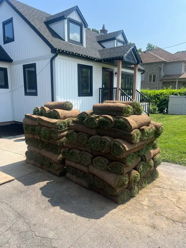 fall cleanup/landscapeing63616724798465122