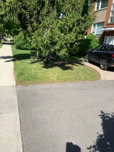 Mimico Lawn Care, View more