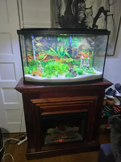 kit aquarium fluval bow front 45 gal complete avec meuble foyer, View more