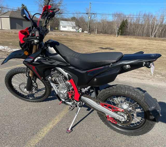 2020 CRF250L Dual Sport in Dirt Bikes & Motocross in Fredericton - Image 2