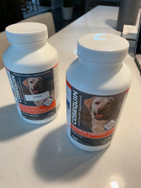 Cosequin DS Joint Supplement For Dogs