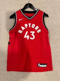 Pascal Siakam Toronto Raptors Autographed Nike Red Authentic Jersey
