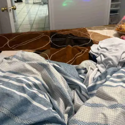 One room is available in two bedrooms basement near trinity common plaza. Walk in stores bus service...